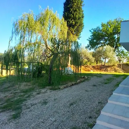 Il Salice